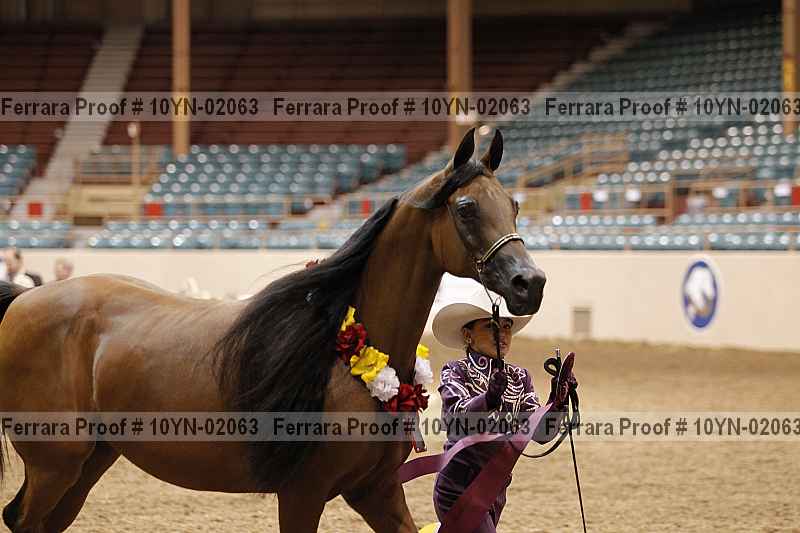 Proof 10yn-02063