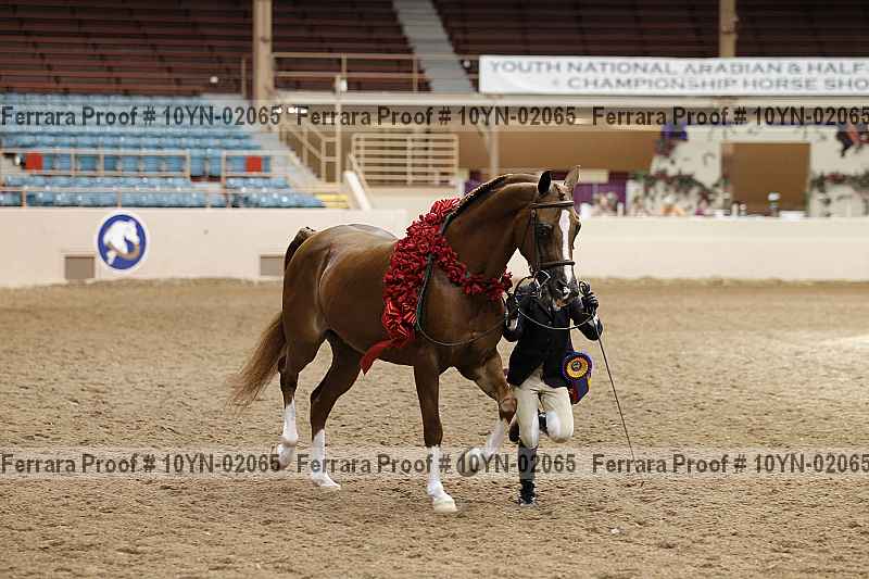 Proof 10yn-02065