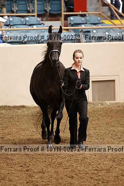 Proof 10yn-00272