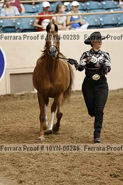 Proof 10yn-00289