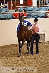 10yn-00324 proof