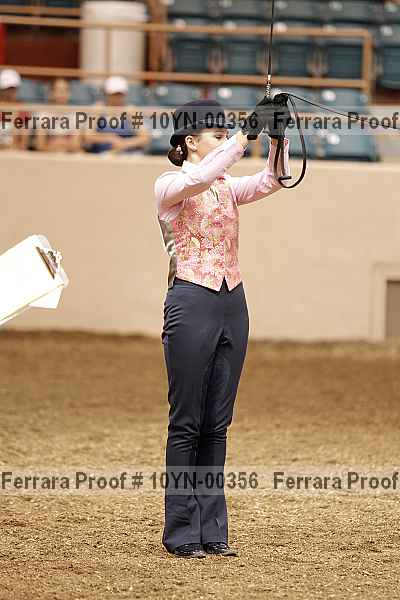 Proof 10yn-00356