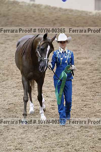 Proof 10yn-00365