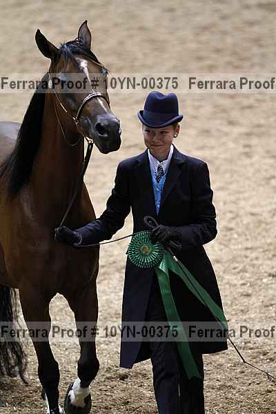 Proof 10yn-00375
