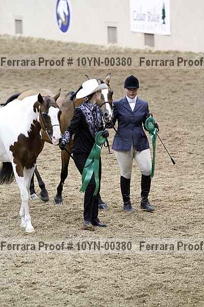 Proof 10yn-00380