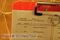 10yn-07507 proof