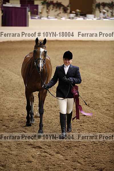 Proof 10yn-18004