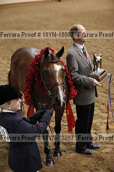 Proof 10yn-18007