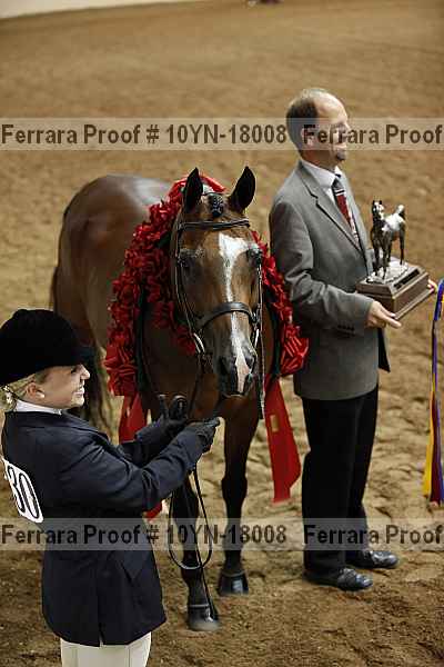 Proof 10yn-18008