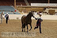 10yn-18021 proof