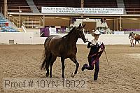 10yn-18022 proof