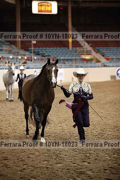 Proof 10yn-18023