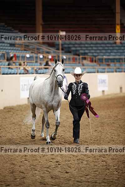Proof 10yn-18026