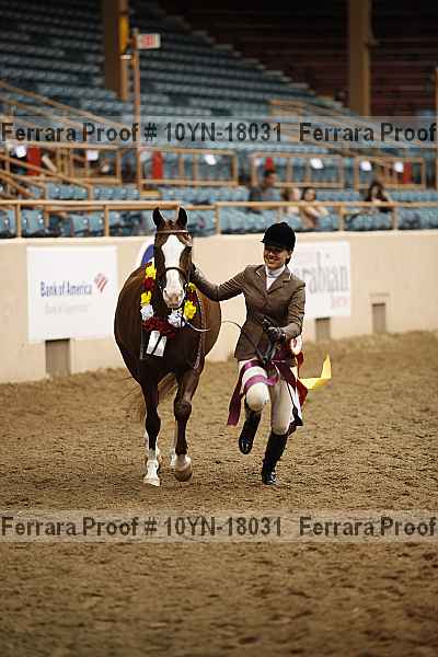 Proof 10yn-18031