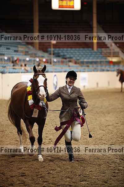 Proof 10yn-18036