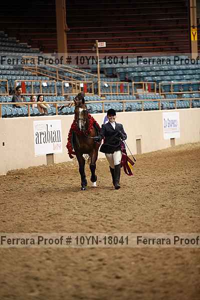 Proof 10yn-18041