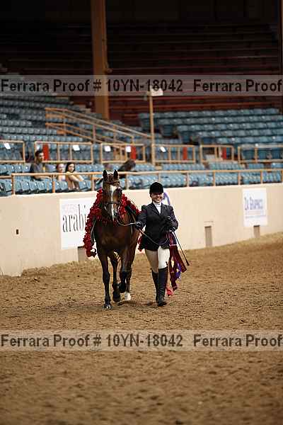 Proof 10yn-18042