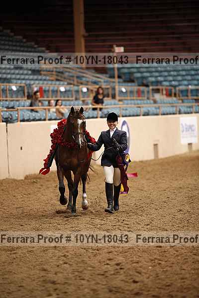 Proof 10yn-18043