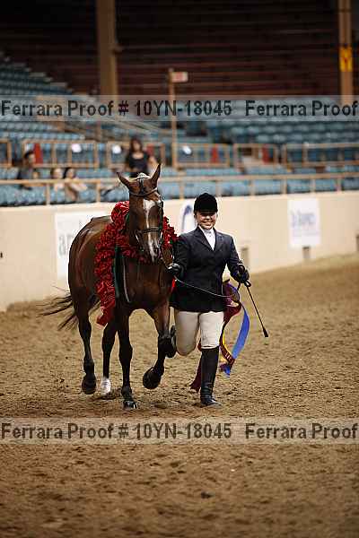 Proof 10yn-18045