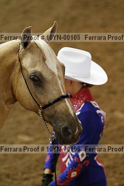 Proof 10yn-00105