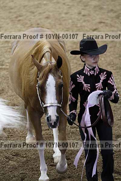 Proof 10yn-00107
