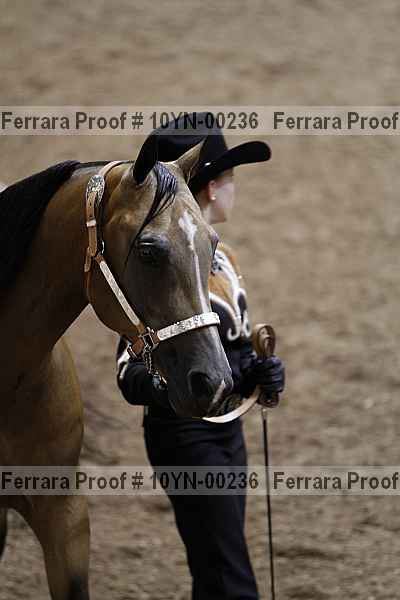 Proof 10yn-00236
