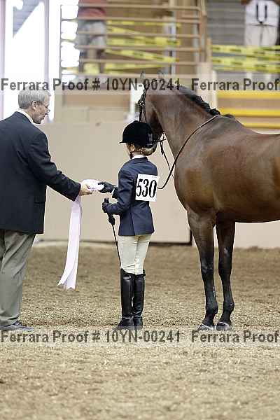 Proof 10yn-00241