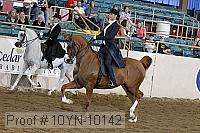 10yn-10142 proof