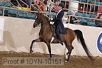 10yn-10151 proof