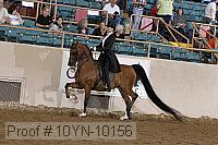 10yn-10156 proof