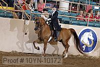 10yn-10172 proof