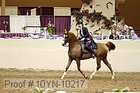 10yn-10217 proof