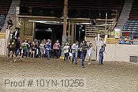 10yn-10256 proof