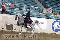 10yn-10311 proof