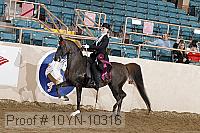 10yn-10316 proof