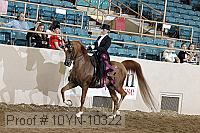 10yn-10322 proof