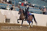 10yn-10324 proof