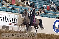 10yn-10327 proof