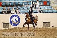 10yn-10329 proof