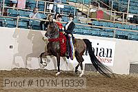 10yn-10339 proof