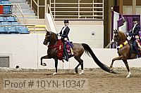 10yn-10347 proof