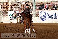 10yn-10453 proof