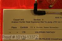 10yn-13372 proof