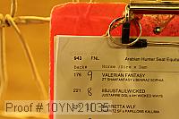 10yn-21035 proof