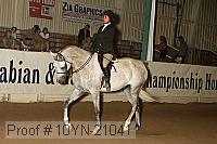 10yn-21041 proof