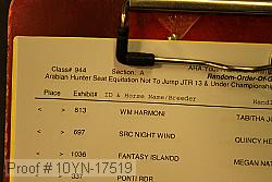 10yn-17519 proof