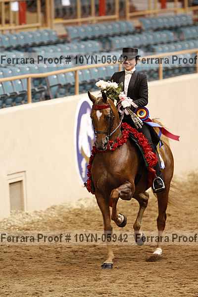 Proof 10yn-05942