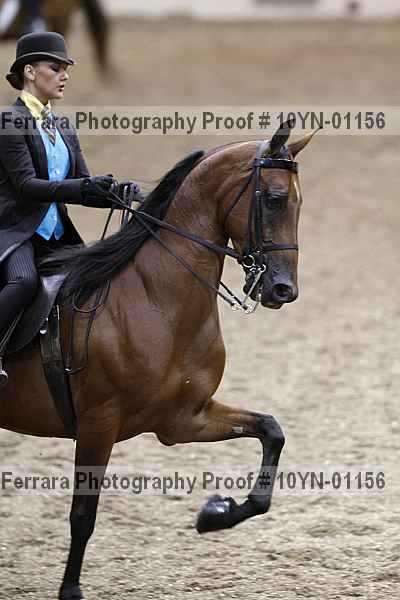 Proof 10yn-01156