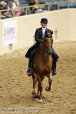 10yn-01157 proof
