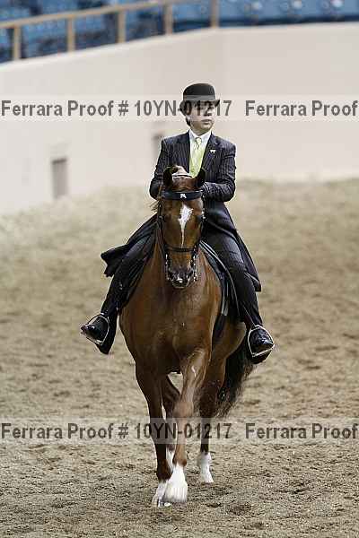 Proof 10yn-01217